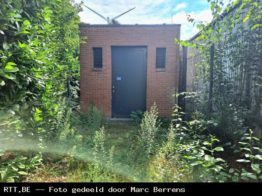 LDC — Geel Punt